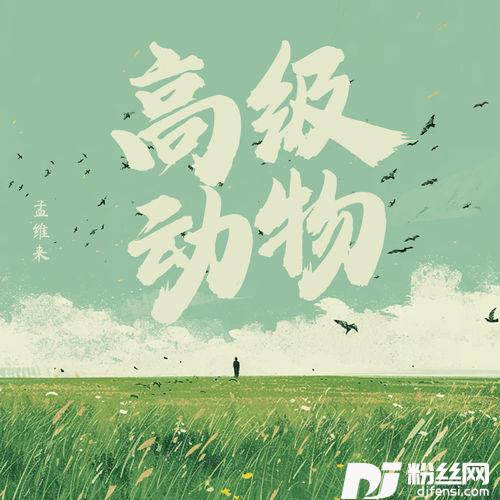 高级动物