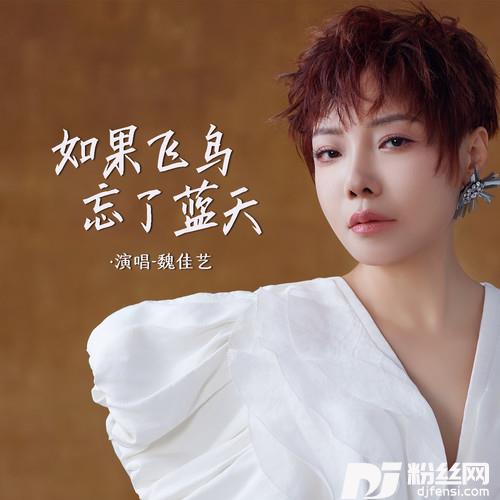 如果飞鸟忘了蓝天的专辑