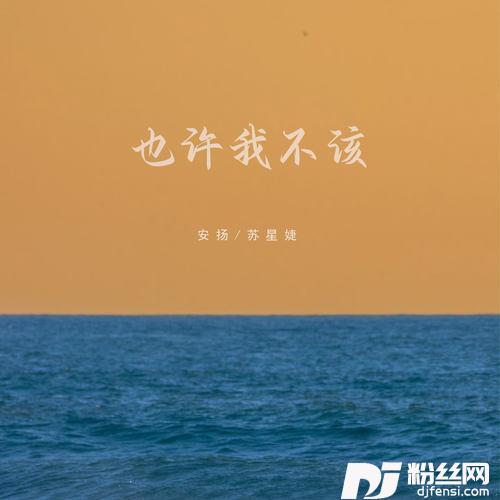 也许我不该