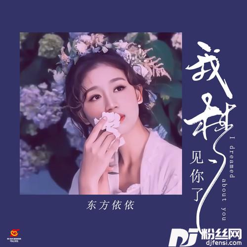 我梦见你了的专辑