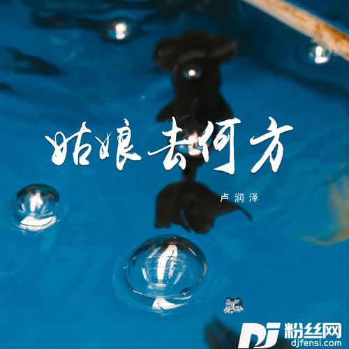 姑娘去何方的专辑