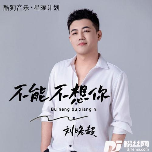 不能不想你的专辑