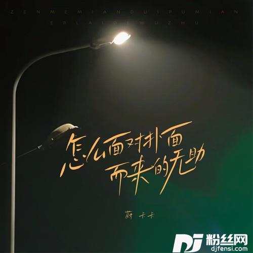 怎么面对扑面而来的无助（DJ版）的专辑