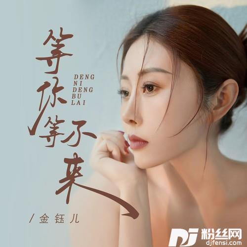 等你等不来的专辑