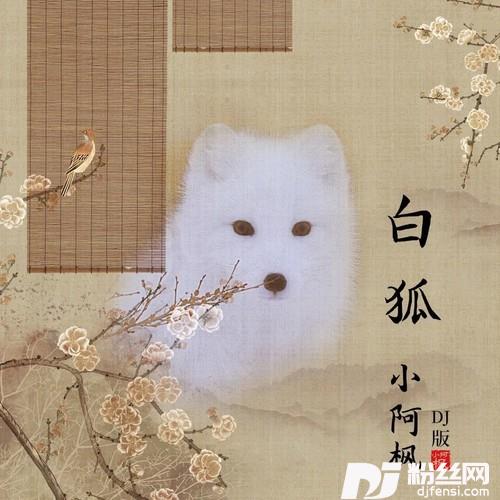 白狐DJ九零版的专辑