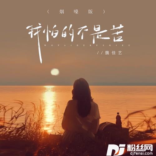 我怕的不是苦烟嗓版的专辑