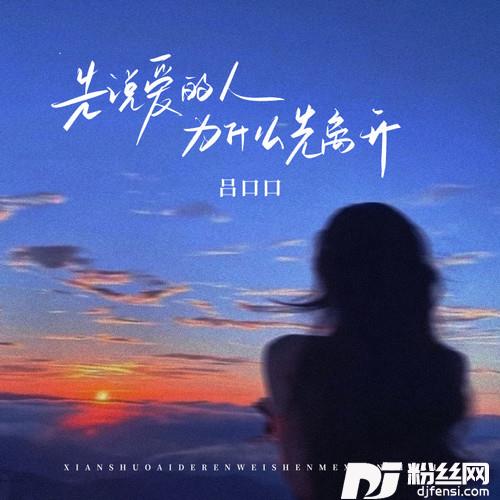 先说爱的人为什么先离开DJ李想版