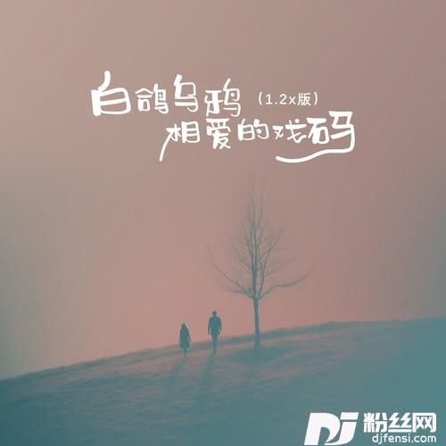 白鸽乌鸦相爱的戏码1.2x版