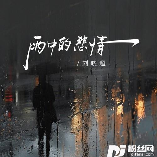 雨中的悲情
