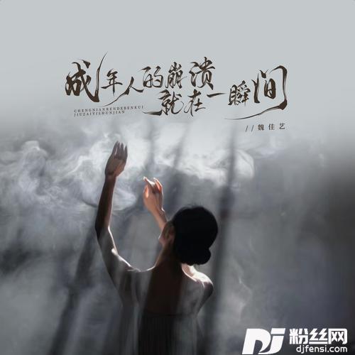 成年人的奔溃就在一瞬间的专辑