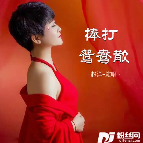 棒打鸳鸯散的专辑
