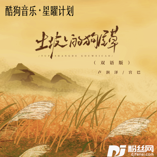 土坡上的狗尾草DJ沈念双语版