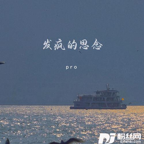 发疯的思念