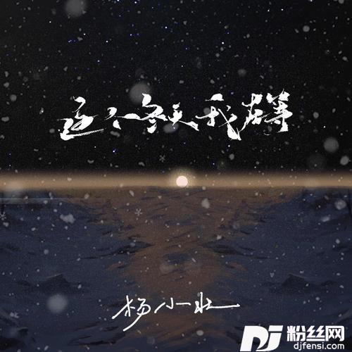这个冬天我在等
