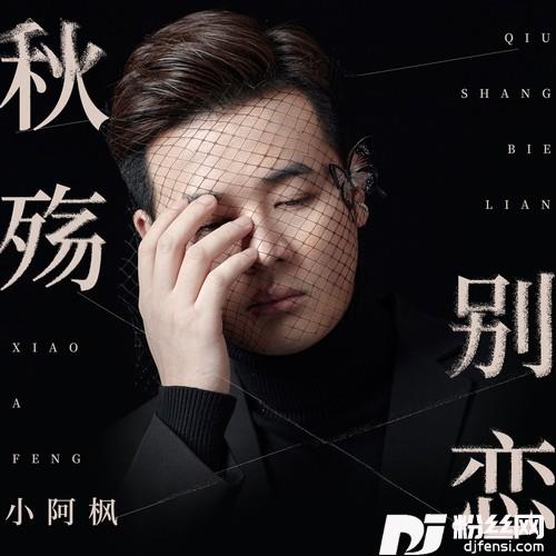 秋殇别恋DJ九零版
