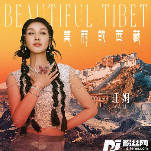 美丽的西藏
