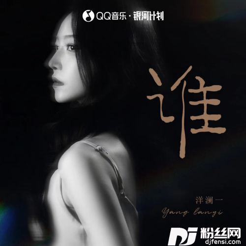 谁DJ小辉版