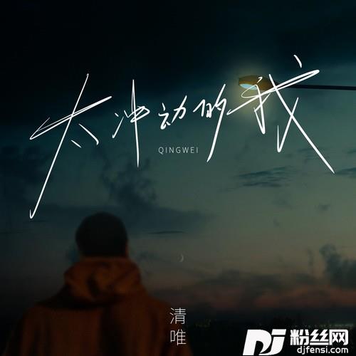 太冲动的我的专辑