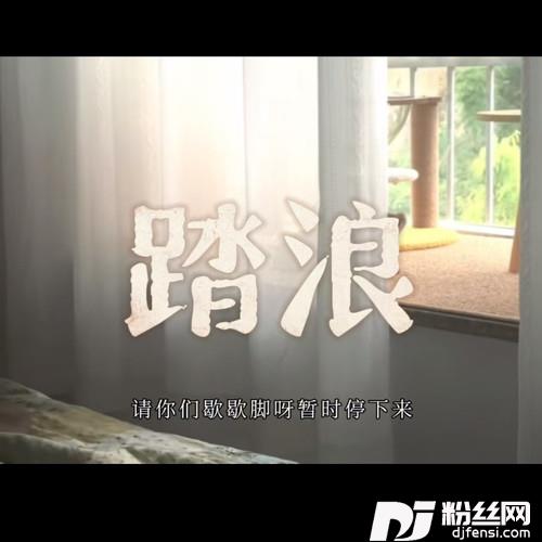 踏浪怀旧版的专辑