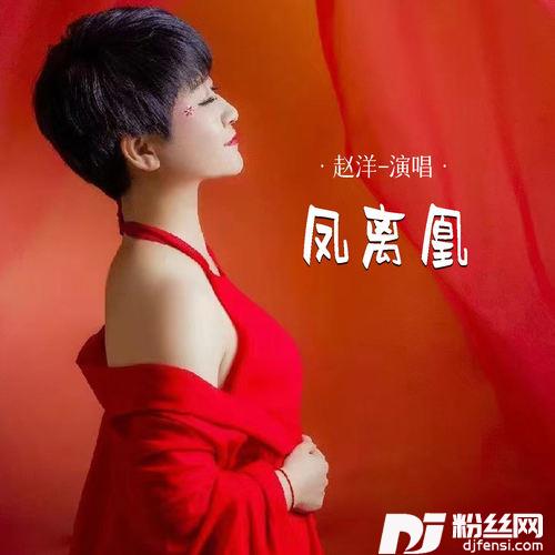 凤离凰的专辑