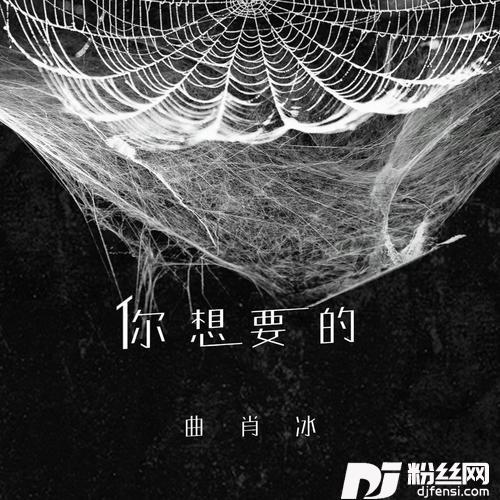 你想要的的专辑