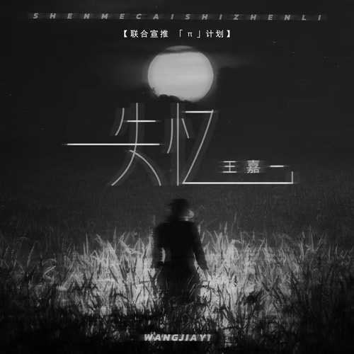 失忆（什么才是真理）的专辑