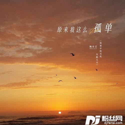 原来我这么孤单（如果手机关机失踪几天）的专辑