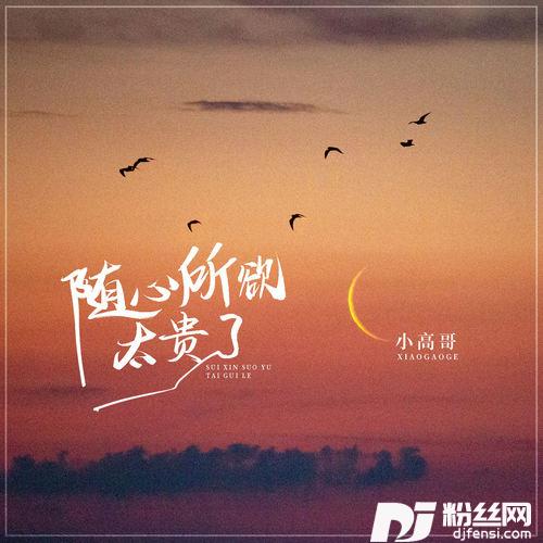 随心所欲太贵了的专辑
