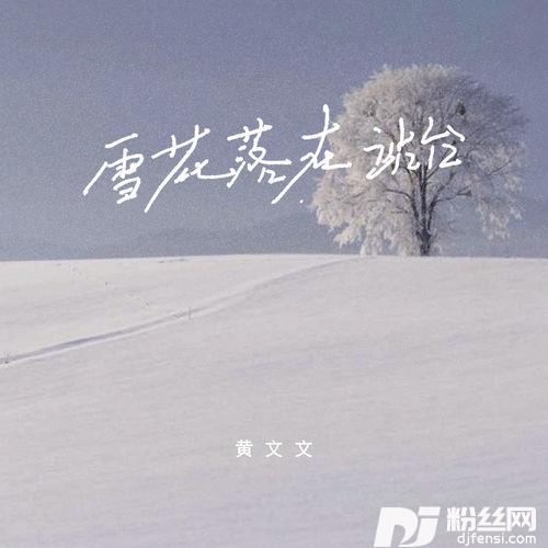 雪花落在站台你也没回来的专辑