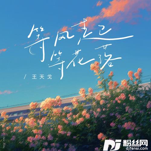 等风起等花落
