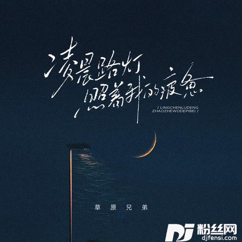 凌晨路灯照着我的疲惫的专辑