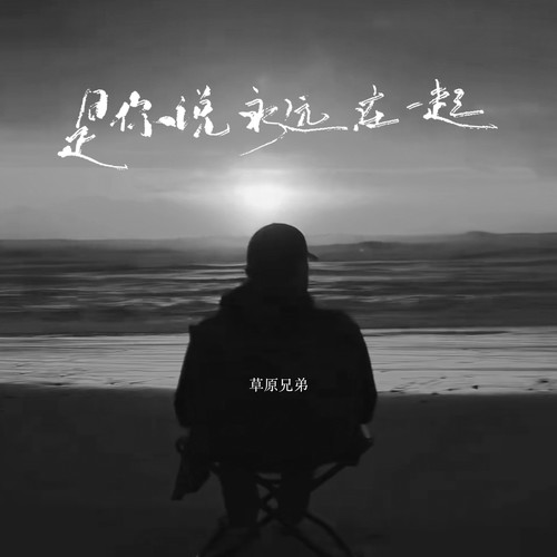 是你说永远在一起的专辑