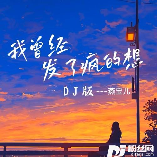 我曾经发了疯的想DJ何友版