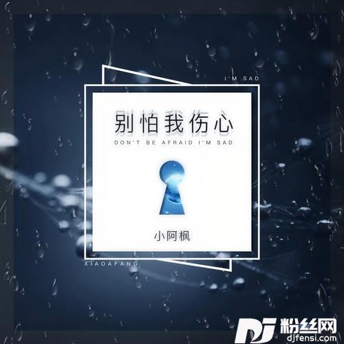 别怕我伤心的专辑