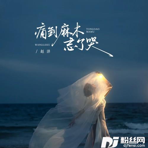 痛到麻木忘了哭