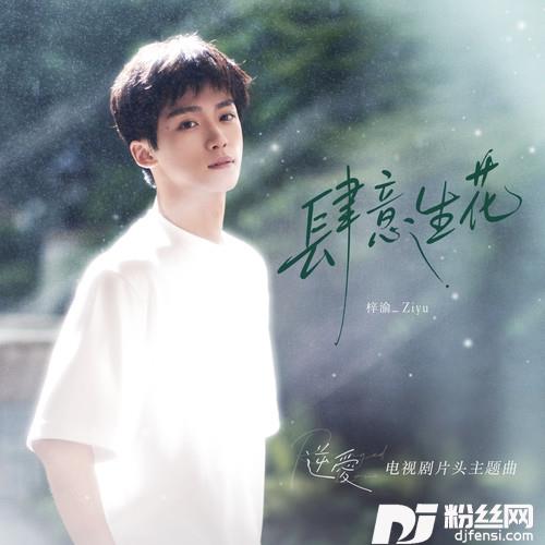 肆意生花的专辑