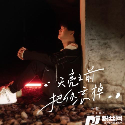天亮之前把你忘掉的专辑