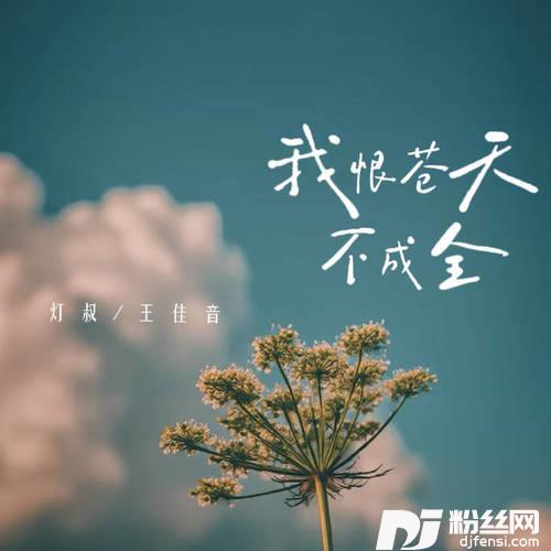 我恨苍天不成全的专辑