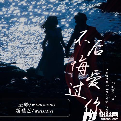 不后悔爱过你合唱版