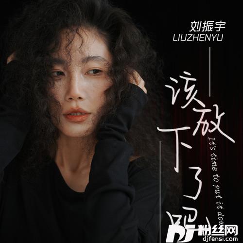 该放下了吧的专辑