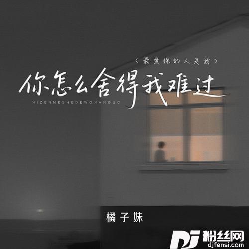 你怎么舍得我难过最爱你的人是我的专辑