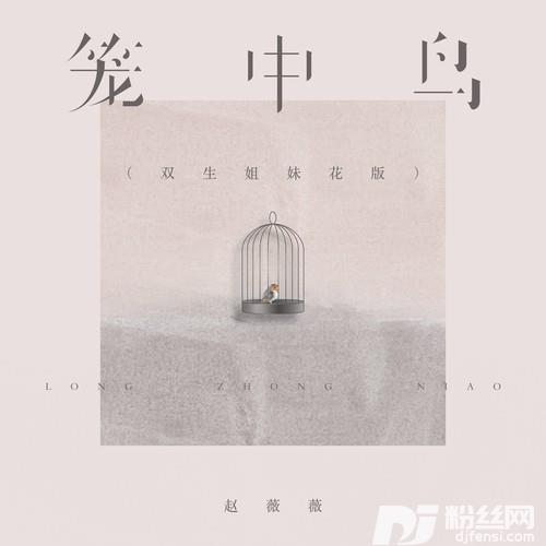 笼中鸟双生姐妹花版