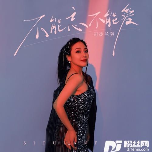 不能忘不能爱的专辑