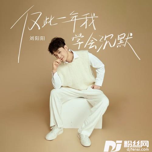 仅此一年我学会沉默的专辑