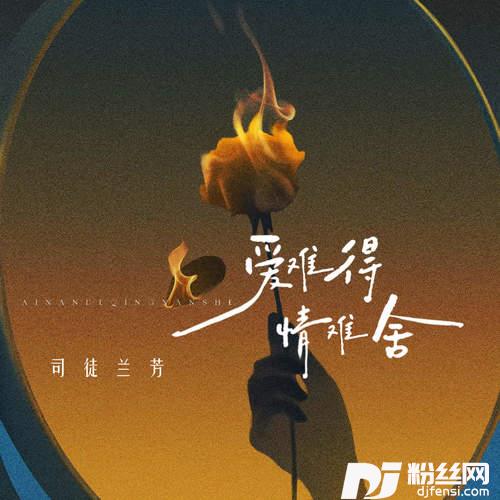 爱难得情难舍