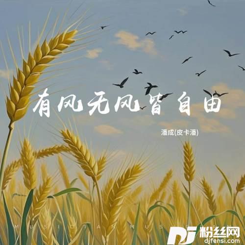 有风无风皆自由