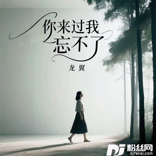 你来过我忘不了