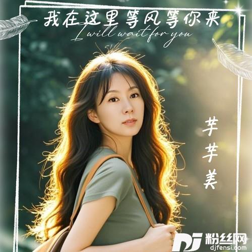我在这里等风等你来的专辑