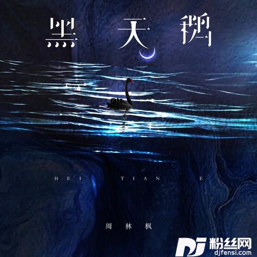 黑天鹅的专辑