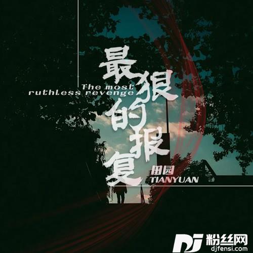 最狠的报复的专辑